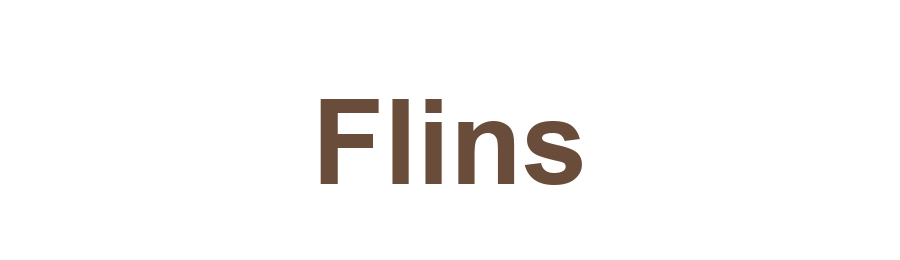 Flins logo